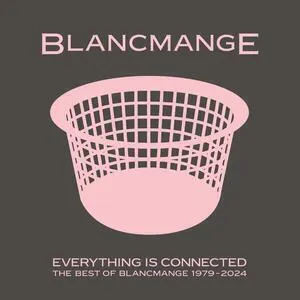 Everything is connected : the best of Blancmange 1979-2024
